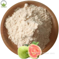 High quality Guava Powder in Beverage Field